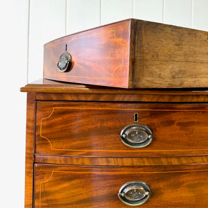 A Large Antique English Bow Front Mahogany Chest of Drawers