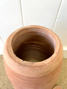 A Large English Garden Rhubarb Forcer