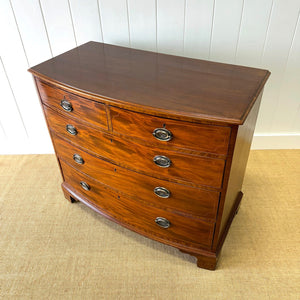 A Large Antique English Bow Front Mahogany Chest of Drawers