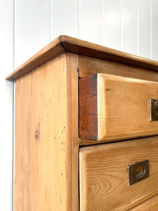 A Good 19th Century English Pine Chest of Drawers/Dresser with Tulip Feet
