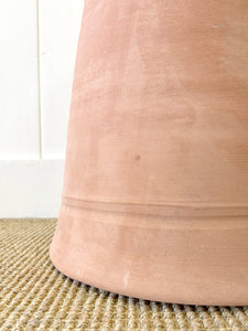 A Large English Garden Rhubarb Forcer