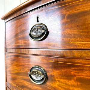 A Large Antique English Bow Front Mahogany Chest of Drawers