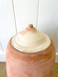 A Large English Garden Rhubarb Forcer