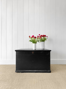 An English Pine Ebonized Blanket Box