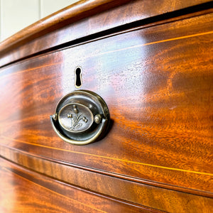 A Large Antique English Bow Front Mahogany Chest of Drawers