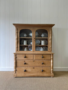 A 19th Century Cornish Bookcase with Arched Doors