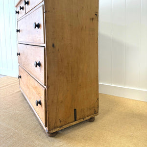 A Large 19th Century English Pine Chest of Drawers/Dresser with Tulip Feet