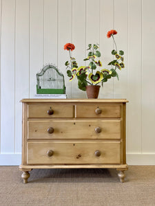 An English Pine Low Chest of Drawers Dresser with Wooden Knobs c1890