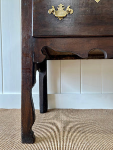 An Exquisite 18th Century Oak Welsh Dresser Cupboard