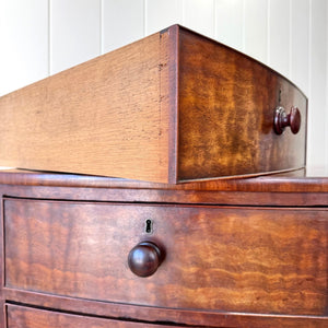 A Large Antique English Bow Front Mahogany Chest of Drawers
