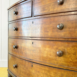 A Large Antique English Bow Front Mahogany Chest of Drawers