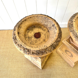 A Delightful Pair of Antique Garden Urns