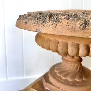 A Delightful Pair of Antique Garden Urns