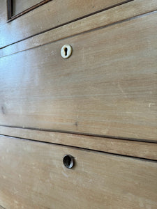 A Scottish Pine & Mahogany Bachelor's Bookcase