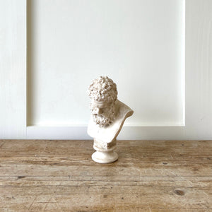 Bust of Greek Mythology Character/Hercules (?)