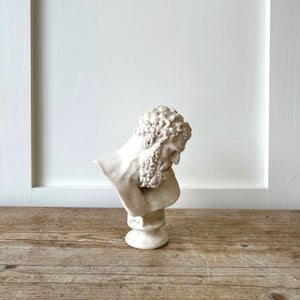 Bust of Greek Mythology Character/Hercules (?)