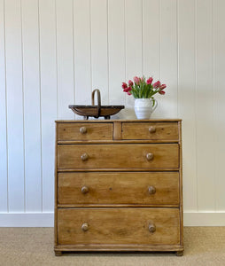A Large and Primitive English Pine Chest of Drawers Dresser with Wooden Knobs c1850