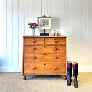 A 19th Century English Chestnut Chest of Drawers/Dresser with Tulip Feet