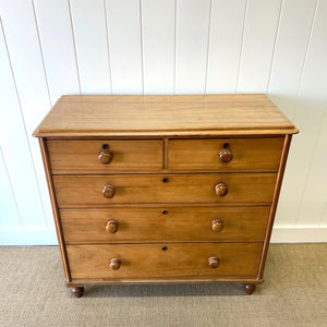 A 19th Century English Chestnut Chest of Drawers/Dresser with Tulip Feet