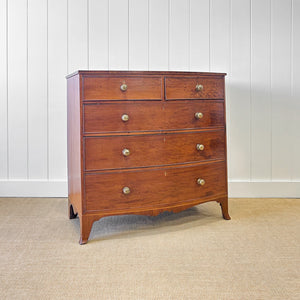 A Large Antique English Bow Front Mahogany Chest of Drawers