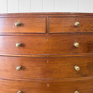A Large Antique English Bow Front Mahogany Chest of Drawers