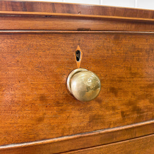 A Large Antique English Bow Front Mahogany Chest of Drawers