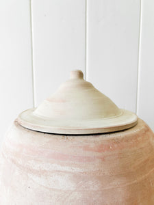 A Large English Garden Rhubarb Forcer