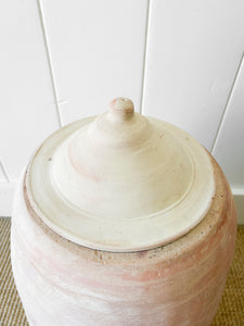 A Large English Garden Rhubarb Forcer