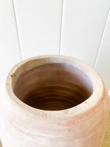 A Large English Garden Rhubarb Forcer