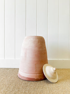 A Large English Garden Rhubarb Forcer