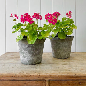 A Pair of English Composite Garden Pots with Perfect Patina!