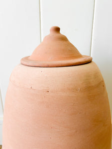 A Large English Garden Rhubarb Forcer