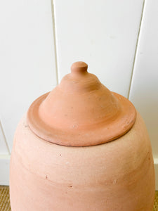 A Large English Garden Rhubarb Forcer