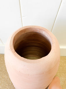 A Large English Garden Rhubarb Forcer