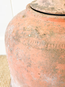 A Large English Garden Rhubarb Forcer
