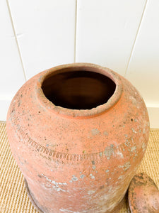 A Large English Garden Rhubarb Forcer